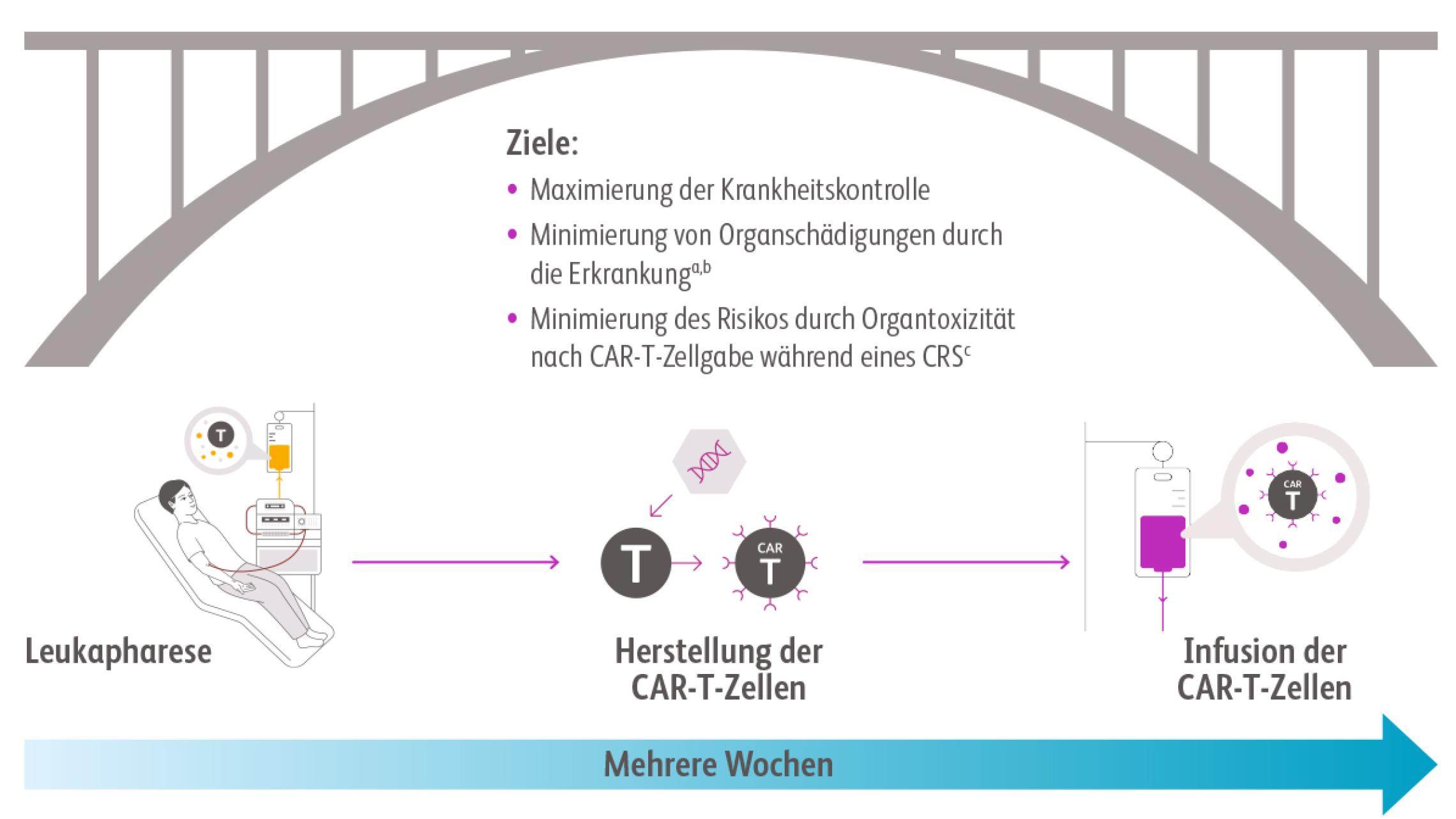 Schaubild der Brücken-Antitumortherapie zwischen Leukapherese bis zur CAR-TZellinfusion, um den Herstellungsprozess der CAR-T-Zellen zu überbrücken.