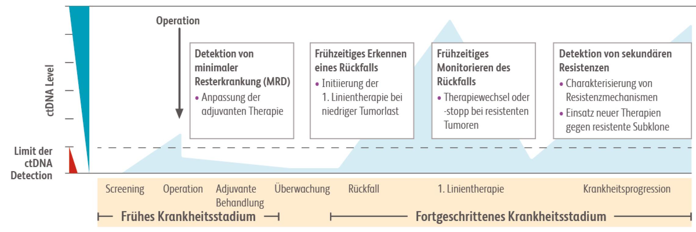 Schaubild Liquid Biopsy: Zusammenhang zwischen Krankheitsverlauf und Konzentration von ctDNA im Blut sowie potenzielle klinische Anwendung für Verlaufskontrolle.